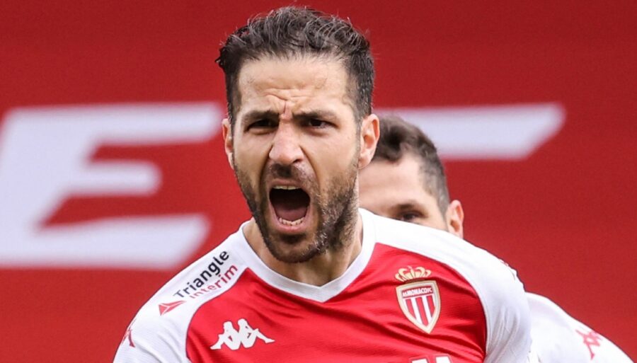 Como, el delirio de Cesc Fábregas: «Quiero la Serie A