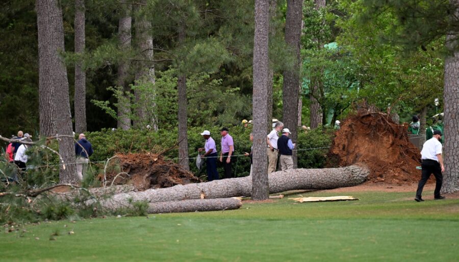 Miedo en el Masters de Augusta, dos árboles caen cerca del público
