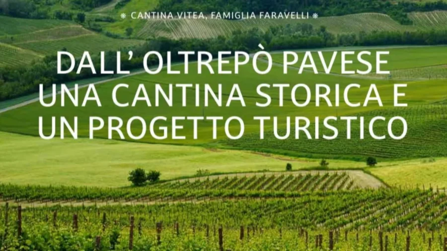 Antonio Faravelli y sus vinos también aparecen en revistas especializadas